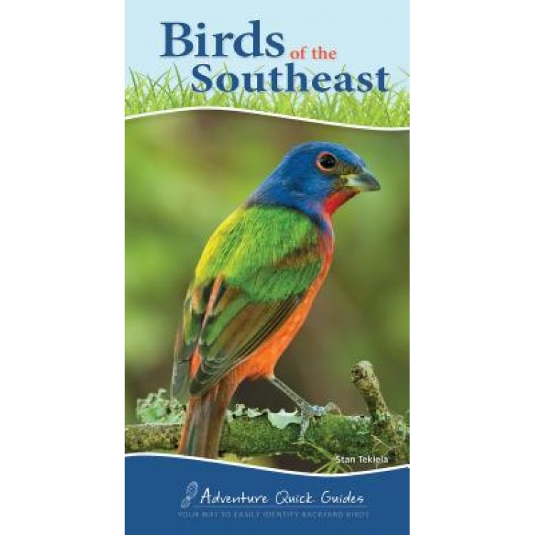 Birds of the Southeast, Stan Tekiela (Author)