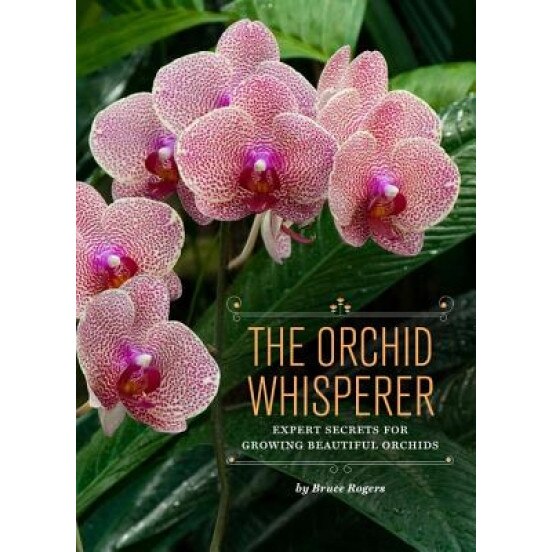 The Orchid Whisperer: Expert Secrets for Growing Beautiful Orchids, Bruce Rogers (Author)