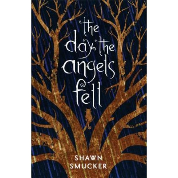 The Day the Angels Fell, Shawn Smucker (Author)