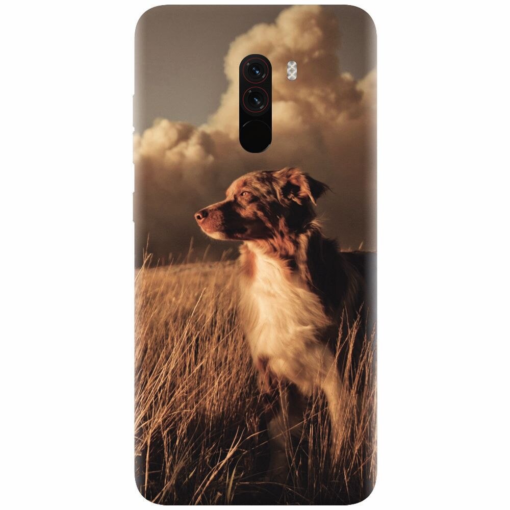 Husa silicon pentru Xiaomi Pocophone F1, Alone Dog Animal In Grass