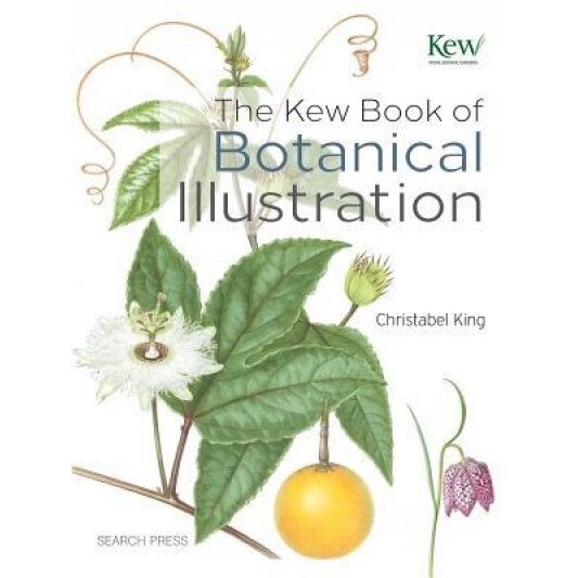 The Kew Book of Botanical Illustration, Christabel King (Author)