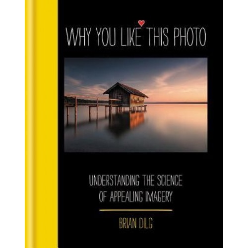 Why You Like This Photo, Brian Dilg (Author)