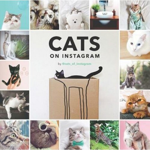 Cats on Instagram, @Cats_of_instagram (Author)