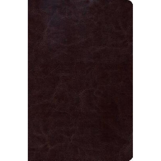 Biblia de Estudio Scofield Tomano Personal-Rvr 1960, B&h Espanol Editorial (Manufactured by)