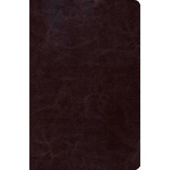 Biblia de Estudio Scofield Tomano Personal-Rvr 1960, B&h Espanol Editorial (Manufactured by) Biblia de Estudio Scofield Tomano Personal-Rvr 1960, B&h Espanol Editorial (Manufactured by)