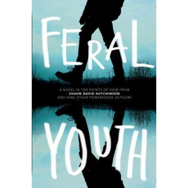 Feral Youth, Shaun David Hutchinson (Author)