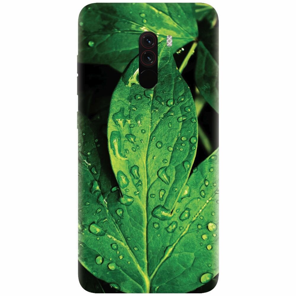 Husa silicon pentru Xiaomi Pocophone F1, Leaves And Dew