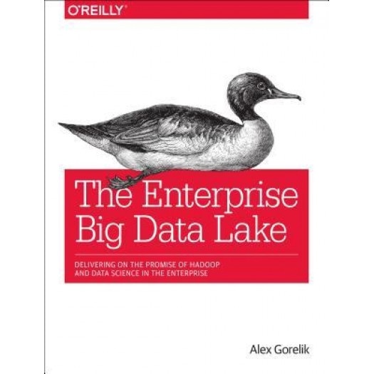 The Enterprise Big Data Lake: Delivering on the Promise of Hadoop and Data Science in the Enterprise, Alex Gorelik (Author)