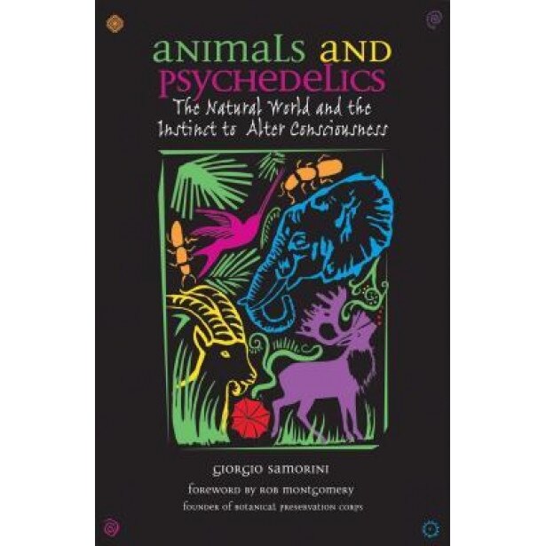 Animals and Psychedelics: The Natural World and the Instinct to Alter Consciousness, Giorgio Samorini