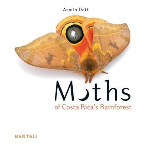 Moths of Costa Rica's Rainforest, Armin Dett (Author)