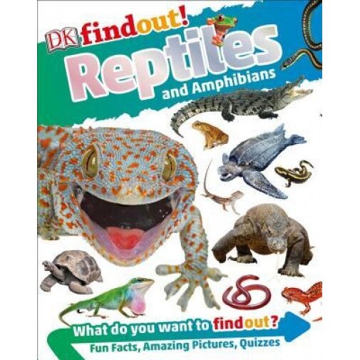 DK Findout! Reptiles and Amphibians, DK (Author)