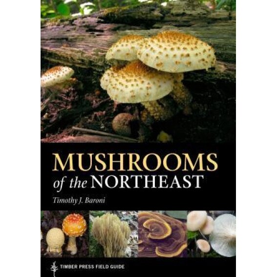 Mushrooms of the Northeastern United States and Eastern Canada: Timber Press Field Guide, Timothy J. Baroni (Author)