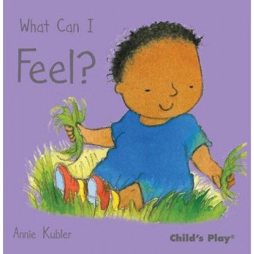 What Can I Feel?, Annie Kubler (Illustrator)