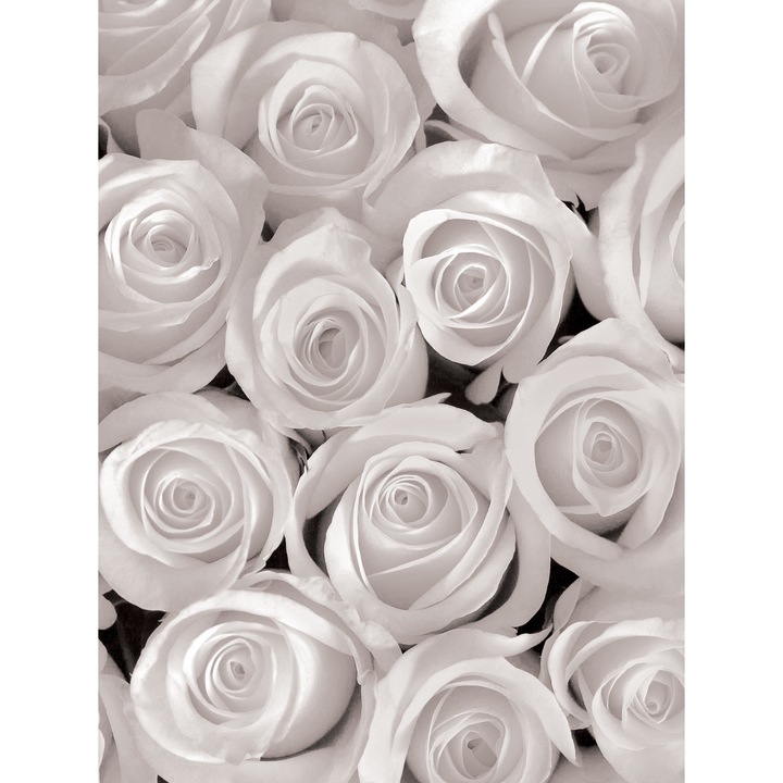 Тапет DEGRETS 83341 Бели рози 3D 254x184см