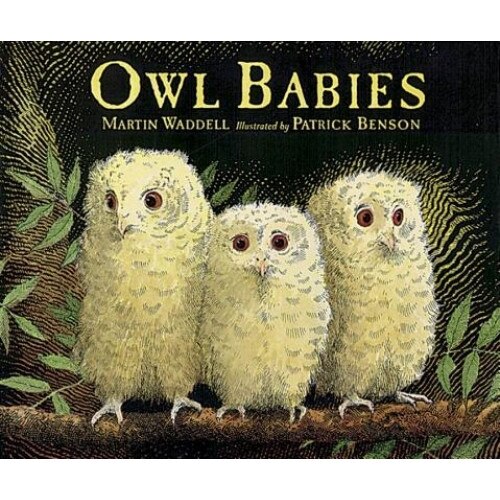 Owl Babies, Waddell, Martin Waddell, Benson