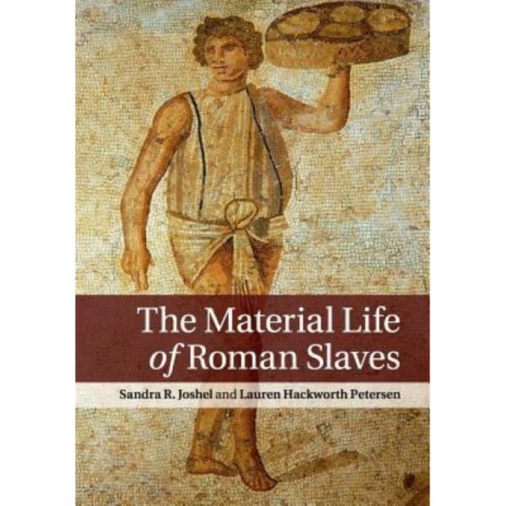 The Material Life of Roman Slaves, Sandra Joshel (Author)