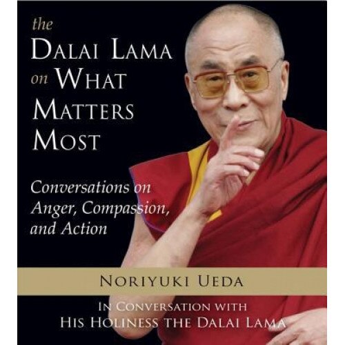 The Dalai Lama on What Matters Most: Conversations on Anger, Compassion, and Action, Noriyuki Ueda (Author)