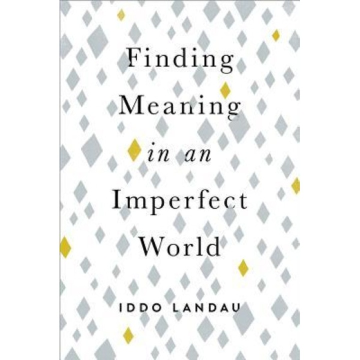 Finding Meaning in an Imperfect World, Iddo Landau (Author)