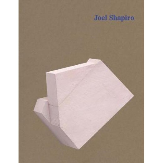 Joel Shapiro, Joel Shapiro (Artist)