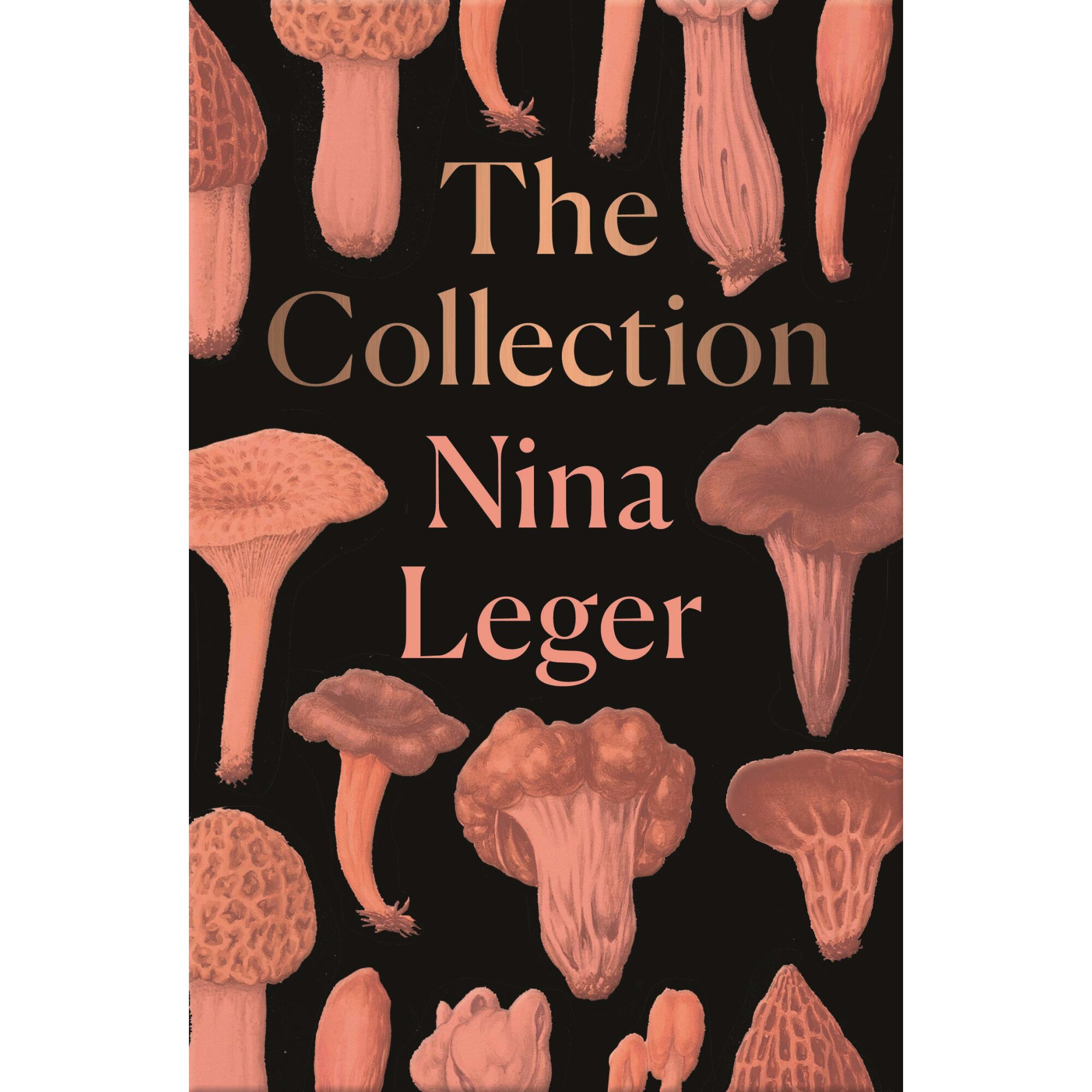 The Collection - Nina Leger, ed 2019