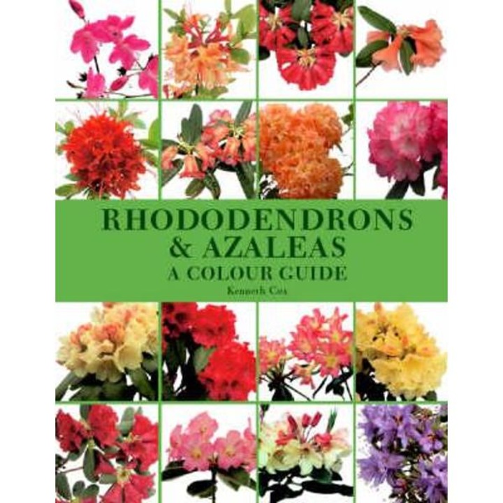 Rhododendrons & Azaleas: a Colour Guide - Kenneth Cox