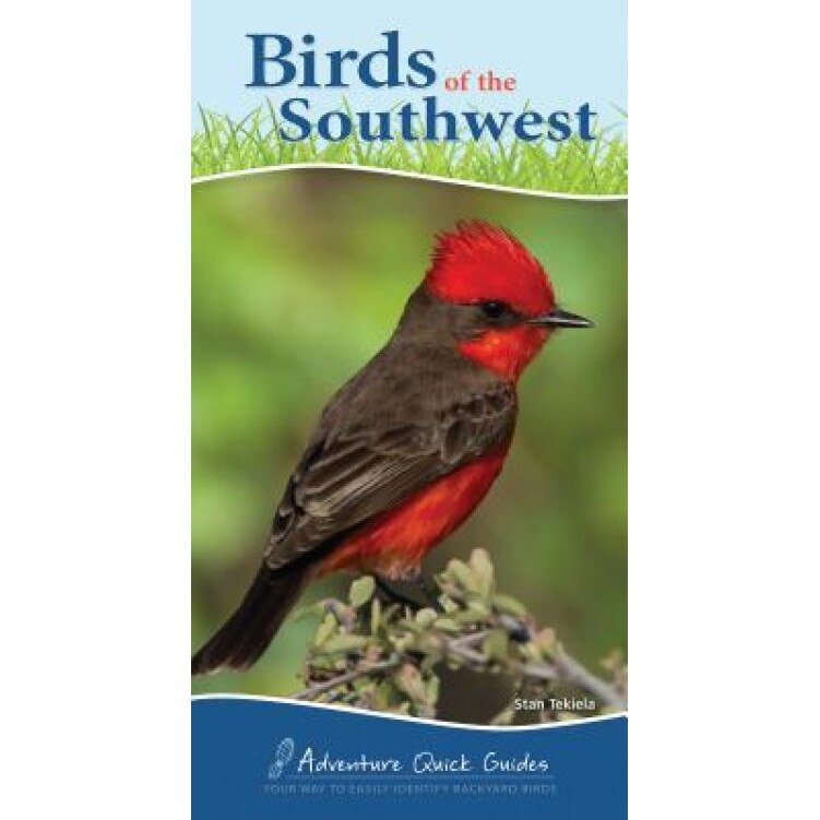 Birds of the Southwest, Stan Tekiela (Author)