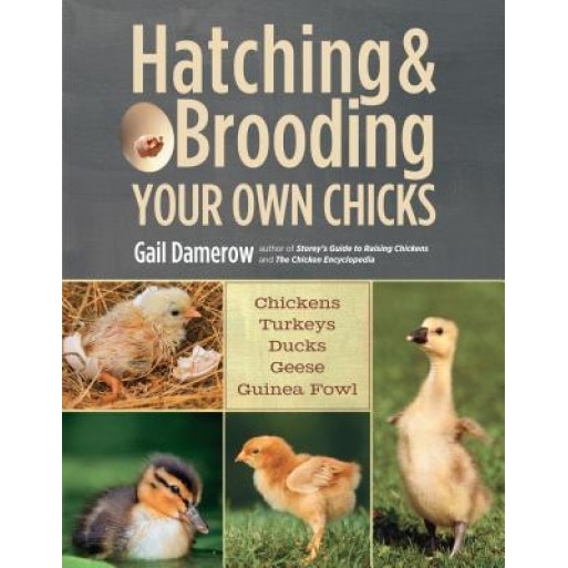 Hatching & Brooding Your Own Chicks: Chickens, Turkeys, Ducks, Geese, Guinea Fowl, Gail Damerow (Author)