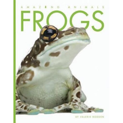 Frogs, Valerie Bodden (Author)