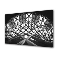 tablou canvas premium art factory truecolor alb-negru tavan spectaculos decoratiuni moderne pentru casa 20 x 30 cm imagen 35_0_
0