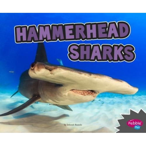 Hammerhead Sharks, Deborah Nuzzolo (Author)