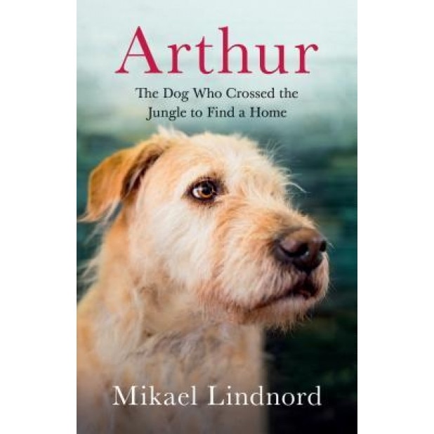 Arthur: The Dog Who Crossed the Jungle to Find a Home, Mikael Lindnord (Author)