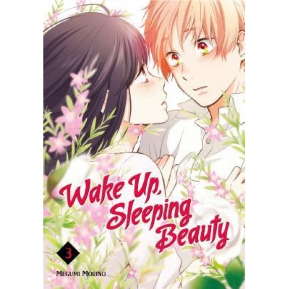 Wake Up, Sleeping Beauty 3, Megumi Morino (Author)