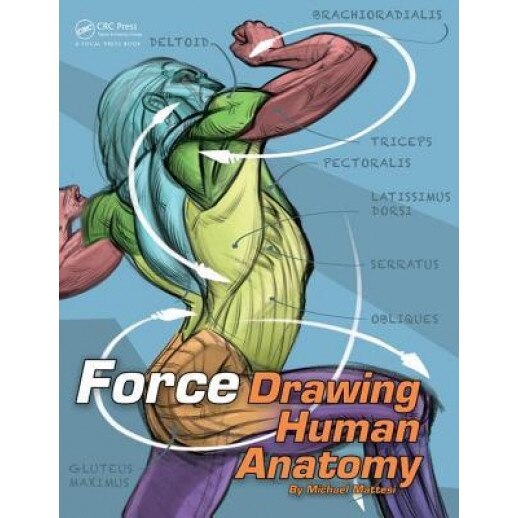 Force: Drawing Human Anatomy, Mike Mattesi (Author)