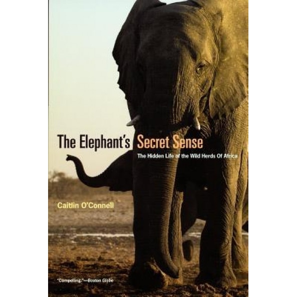 The Elephant's Secret Sense: The Hidden Life of the Wild Herds of Africa, Caitlin O'Connell