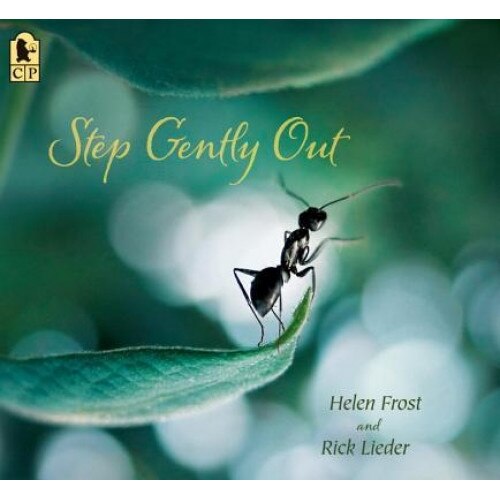 Step Gently Out, Helen Frost (Author)