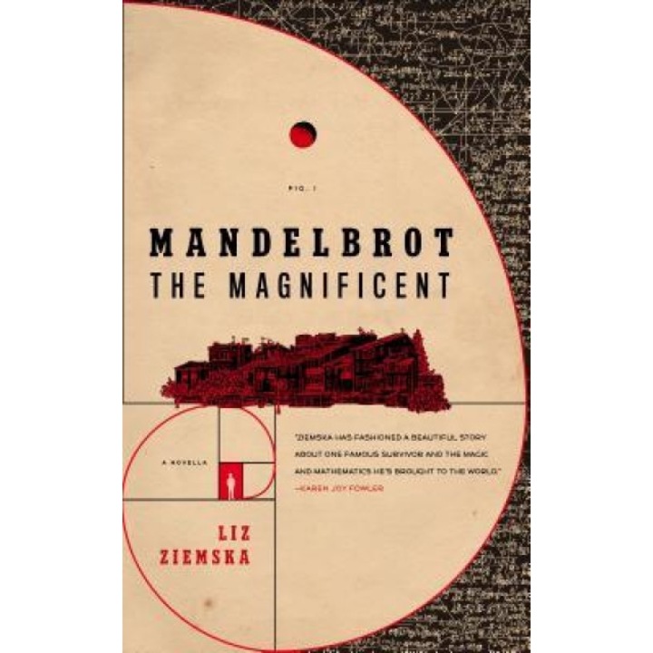 Mandelbrot the Magnificent, Liz Ziemska (Author)