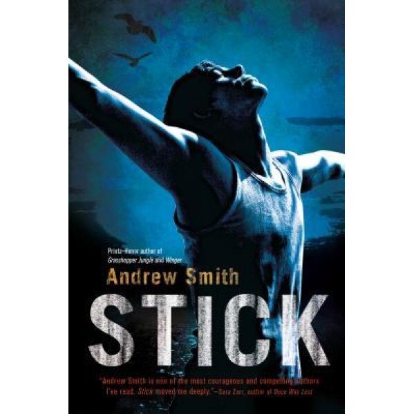 Stick, Andrew Smith (Author)