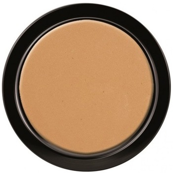 Pudra iluminatoare si de conturare Paese 4C Tanned, 9 g Pudra iluminatoare si de conturare Paese 4C Tanned, 9 g