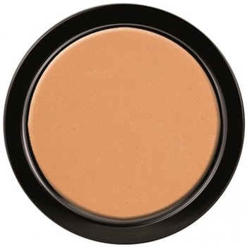 Pudra iluminatoare si de conturare Paese 3C Golden Beige, 9 g Pudra iluminatoare si de conturare Paese 3C Golden Beige, 9 g