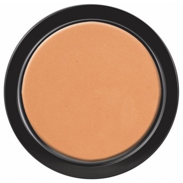 Pudra compacta Paese Matte Powder Semitransparent 6A Opal, 9 g