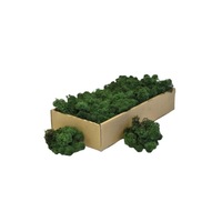 licheni decorativi verde inchis 500gr ribox imagen 52_2_
0