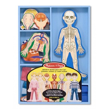Set Melissa & Doug Magnetic Corpul Uman Set Melissa & Doug Magnetic Corpul Uman