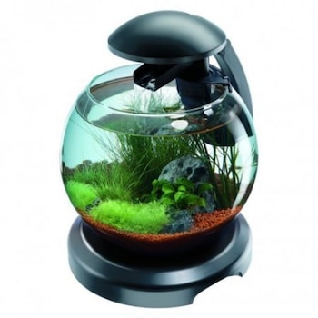 Acvariu bol Tetra Cascade Globe, 6.8 L, Negru Acvariu bol Tetra Cascade Globe, 6.8 L, Negru