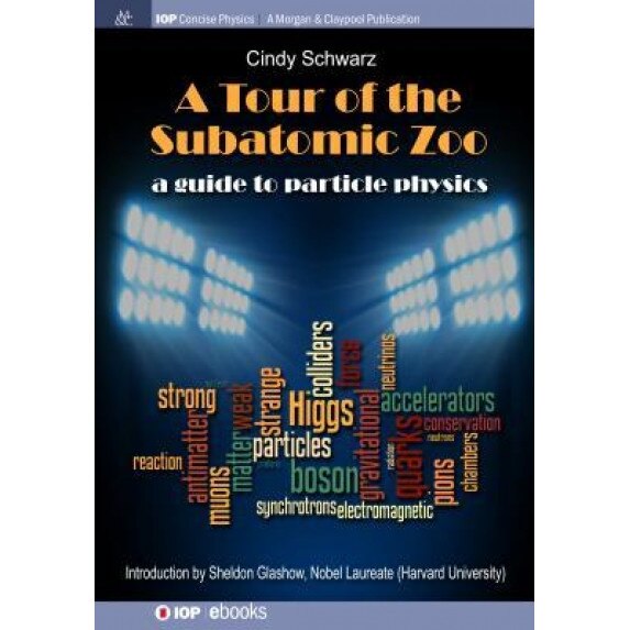 A Tour of the Subatomic Zoo: A Guide to Particle Physics, Cindy Schwarz (Author)
