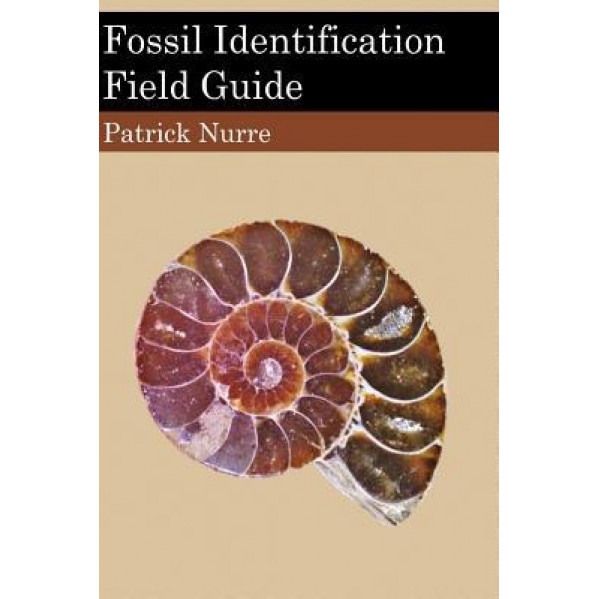 Fossil Identification Field Guide, Patrick Nurre (Author)