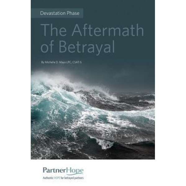 The Aftermath of Betrayal, Csat-S Michelle D. Mays Lpc (Author)