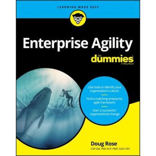 Enterprise Agility for Dummies, Doug Rose (Author)