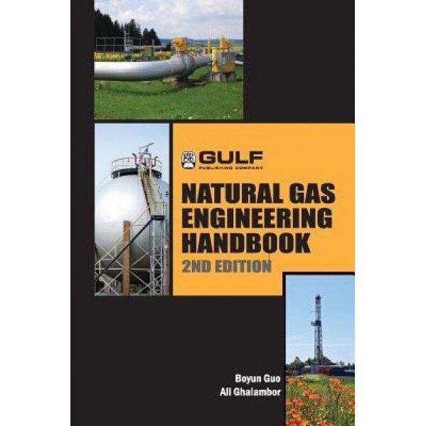 Natural Gas Engineering Handbook, Boyan Guo (Author)