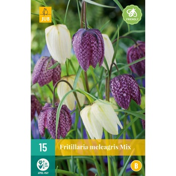 Bulbi Fritillaria Meleagris Mix, JUB, 15 buc Bulbi Fritillaria Meleagris Mix, JUB, 15 buc