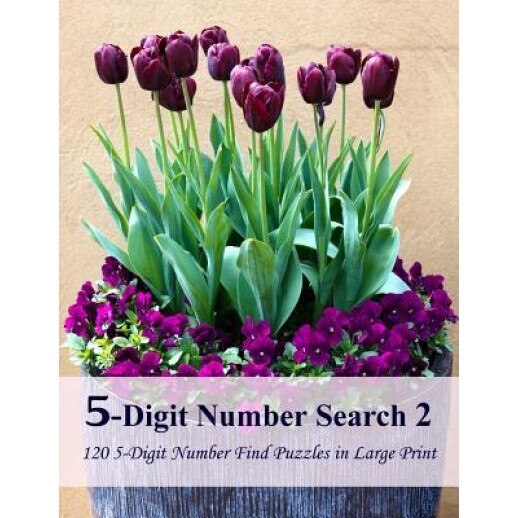 5-Digit Number Search 2: 120 5-Digit Number Find Puzzles in Large Print, Puzzlefast (Author)